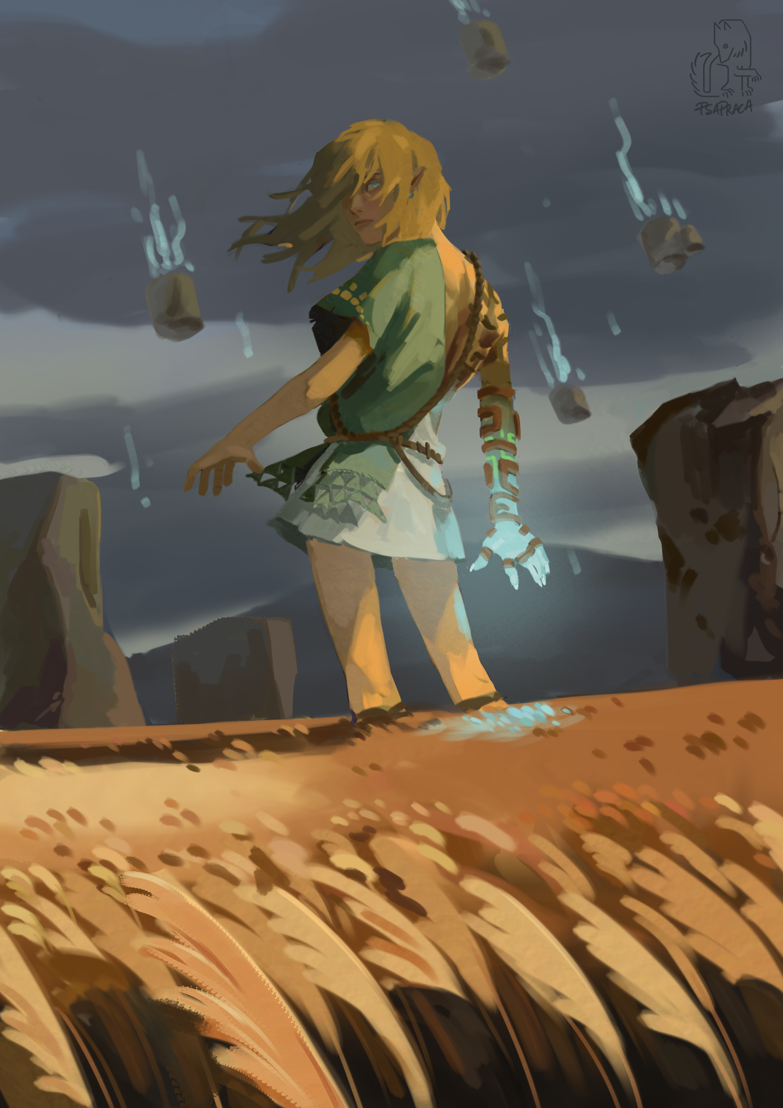 Tears of the Kingdom Illustration